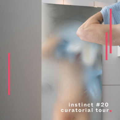Curatorial Tour in EN - Instinct#20