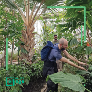 Village Outdoor – Queer Plant Stories – Tour in the Botanical Garden’s Greenhouses