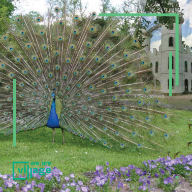 Village Outdoor – Vom Wannsee zur Pfaueninsel