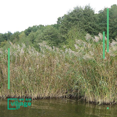 Village Outdoor – Rund um den Schwielowsee